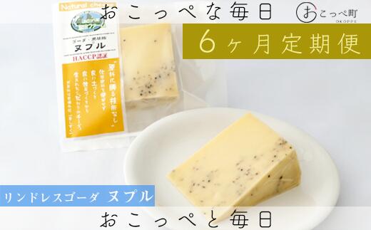 【ふるさと納税】リンドレスゴーダ ヌプル2個 6ヶ月定期便【22018】