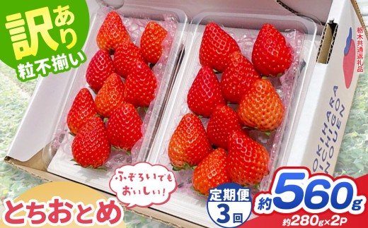 【先行予約】【定期3回】訳あり とちおとめ 約 280g × 2P ｜【栃木県共通返礼品】いちご イチゴ 苺 訳あり 不揃い 粒  フルーツ  果物  ふるさと納税 いちご 栃木県 那珂川町 送料無料