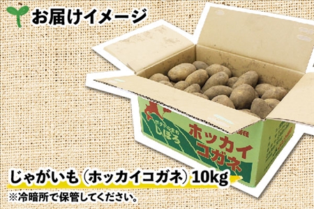 【10月より順次発送予定】北海道 じゃがいも ホッカイコガネ 10kg 北海道産 十勝産 北海こがね 北海コガネ 北海黄金 ジャガイモ 芋 いも ポテト お取り寄せ まとめ買い 送料無料 十勝 士幌町