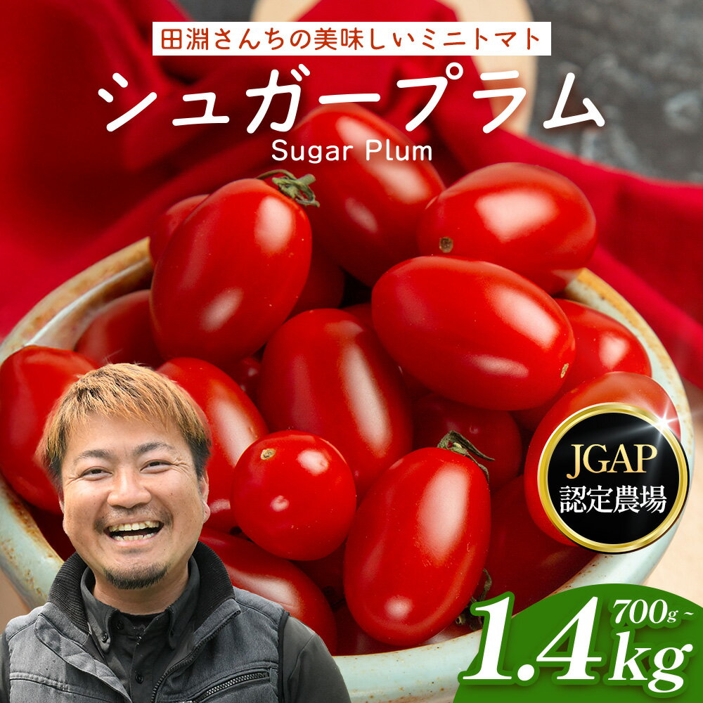 【ふるさと納税】田淵さんちの美味しい ミニトマト シュガープラム（選べる内容量！約700g・約1,400g）｜鹿児島県 南大隅 産地直送 旬 とまと トマト ミニトマト リコピン 完熟 甘い 高糖度 野菜 やさい 送料無料