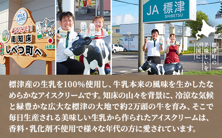 【毎月定期便】しべつ牛乳アイス12個　アイスクリーム 無添加 詰め合わせ全3回【配送不可地域：離島】【4067118】
