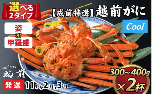 【先行予約】選べる！美味しさ直送【成前特選】 越前がに（300g～400ｇ）×2杯【11月・2月・3月発送】甲羅盛 [G-028046_07]