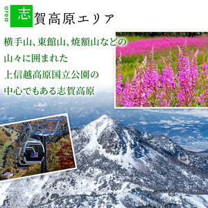 山ノ内町内宿泊補助券（12枚）1年間有効 60,000円分 旅行 宿泊券 ホテル 旅館 チケット 宿泊 補助券 志賀高原 湯田中渋温泉郷 北志賀高原 地獄谷野猿公苑  温泉 ギフト 自然 観光 長野県