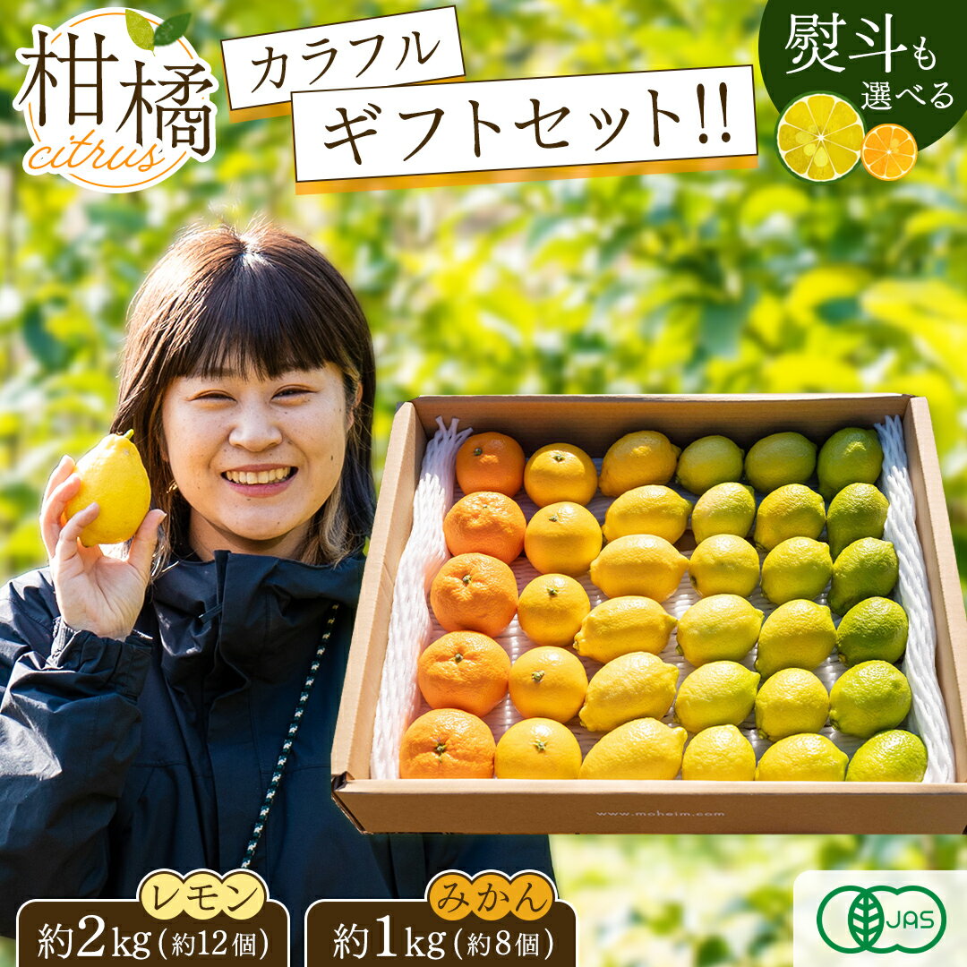 【ふるさと納税】島の宝石箱！瀬戸内 旬の柑橘カラフルギフトセット ( レモン 約2kg /みかん 約1kg ) 11月〜12月発送 果物 国産 せとうち 広島 大崎上島 産地直送 ふじやファーム