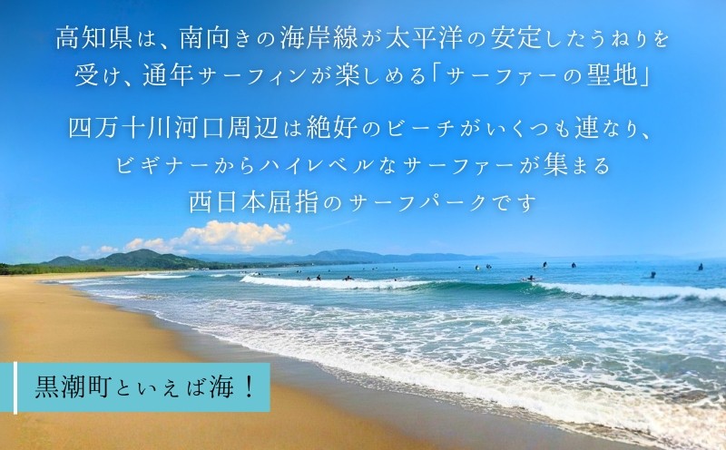 
                  サーフィン 体験 スクール 20回分 体験チケット 体験型 利用券 レジャー 海 ビーチ アウトドア 旅行 観光 マリンスポーツ スポーツ アクティビティ 運動 高知県 黒潮町 高額返礼品 10万円以上 サーフィンスクール 高額 リゾート 人気  [1510]
                