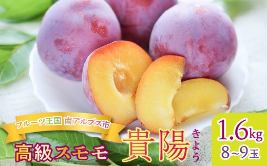 ＜2026年発送★先行予約＞フルーツ王国 南アルプス市のスモモ「貴陽」1.6kg（8～9玉） ALPGM001 | ふるさと納税 すもも 貴陽 プラム 中玉 果物 フルーツ おすすめ 山梨県 南アルプス市 送料無料 |