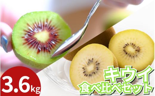 訳あり キウイフルーツ 食べ比べ セット3.6kg 先行予約 2025年10月上旬～ 年内に発送予定 ゴールデンキウイ 紅妃 レインボーレッド キウイ 国産 果物 デザート スイーツ ケーキ ゼリー ジュース ジャム シャーベット アイス  フルーツ ギフト プレゼント 贈答 送料無料 徳島県 吉野川市 くゆな農園