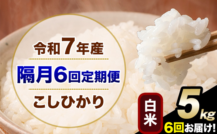 令和7年産 【隔月6回定期便】 こしひかり 5kg 白米 精米 熊本県産(南阿蘇村産含む) 単一原料米 南阿蘇村 産 米 定期便《お申込み翌月から出荷》---kh7tei_57800_5kg_ev2mo6_mna_h---