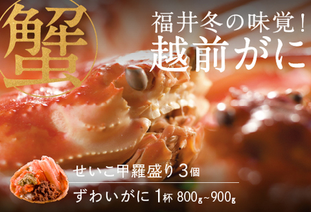 【先行予約！9月30日までの特別価格！！】【産地直送】福井冬の味覚！越前がに（ずわいがに活 800～900g 1杯） ＆ せいこ甲羅盛り3個