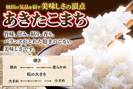 《令和7年産》《定期便9ヶ月》 米 あきたこまち 5kg 【白米】 秋田県産