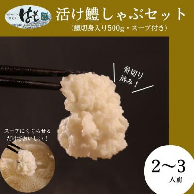 ふるさと納税 小松島市 新鮮◎産地直送! 活け鱧しゃぶセット(骨切済ハモ500g・スープ付き)