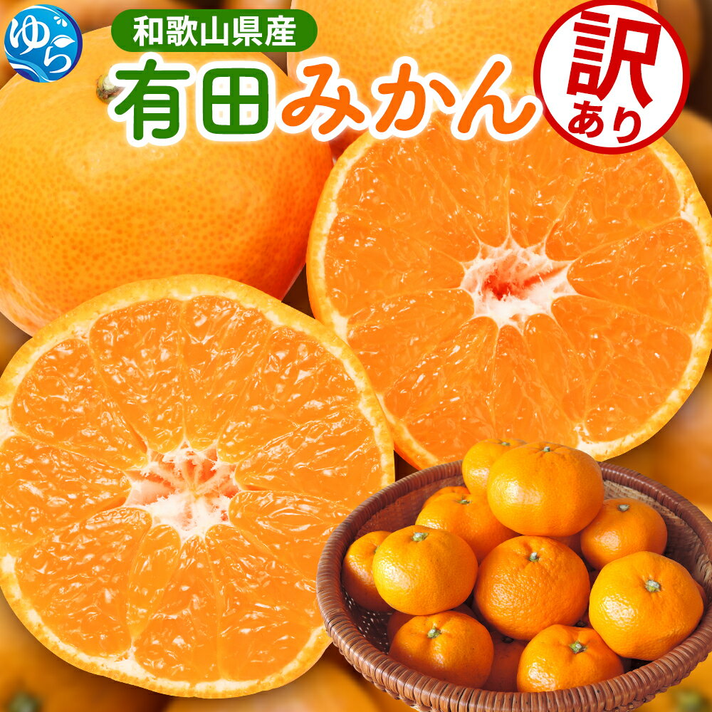 【ふるさと納税】 有田 みかん 訳あり / 温州みかん 有田みかん 家庭用 光センサー 選別 甘い 和歌山 柑橘 1kg 2.5kg 5kg 7.5kg 10kg 5000円 ※2025年10月より順次発送予定 ※北海道・沖縄・離島への配送不可