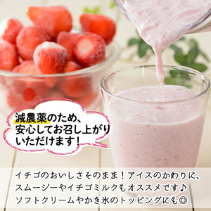 No.1183 ＜先行予約受付中！＞冷凍いちご(計約2.55kg・約850g×3P) 国産 九州産 苺 いちご イチゴ 冷凍 果物 フルーツ 減農薬 アイス【片平観光農園】