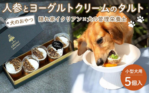 ペットフード(犬のおやつ)　人参とヨーグルトクリームのタルト　5個入り【ペットフード ペット 動物 犬 餌 エサ 小型犬 愛犬 愛犬家 愛犬用 スイーツ タルト おやつ 犬用 ペット用 ご褒美 福岡県 筑前町 ふるさと納税 送料無料 CH003】