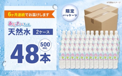 【全6回定期便（毎月お届け）】ミネラルウォーター （500mL×24本）×2箱 [BDBE003-11]