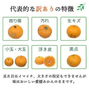 甘みと酸味のバランスが絶妙!食べる手が止まらない 愛媛みかん3kg【訳あり】【A25-164】【配送不可地域：離島・北海道・沖縄県】【1509982】