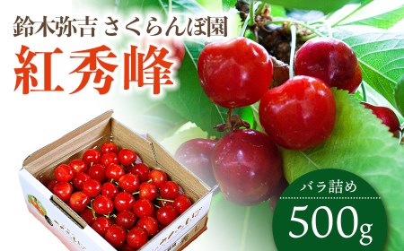 【令和8年産先行予約】 さくらんぼ 「紅秀峰」 バラ詰め 500g 山形県鶴岡産　鈴木弥吉さくらんぼ園　K-835