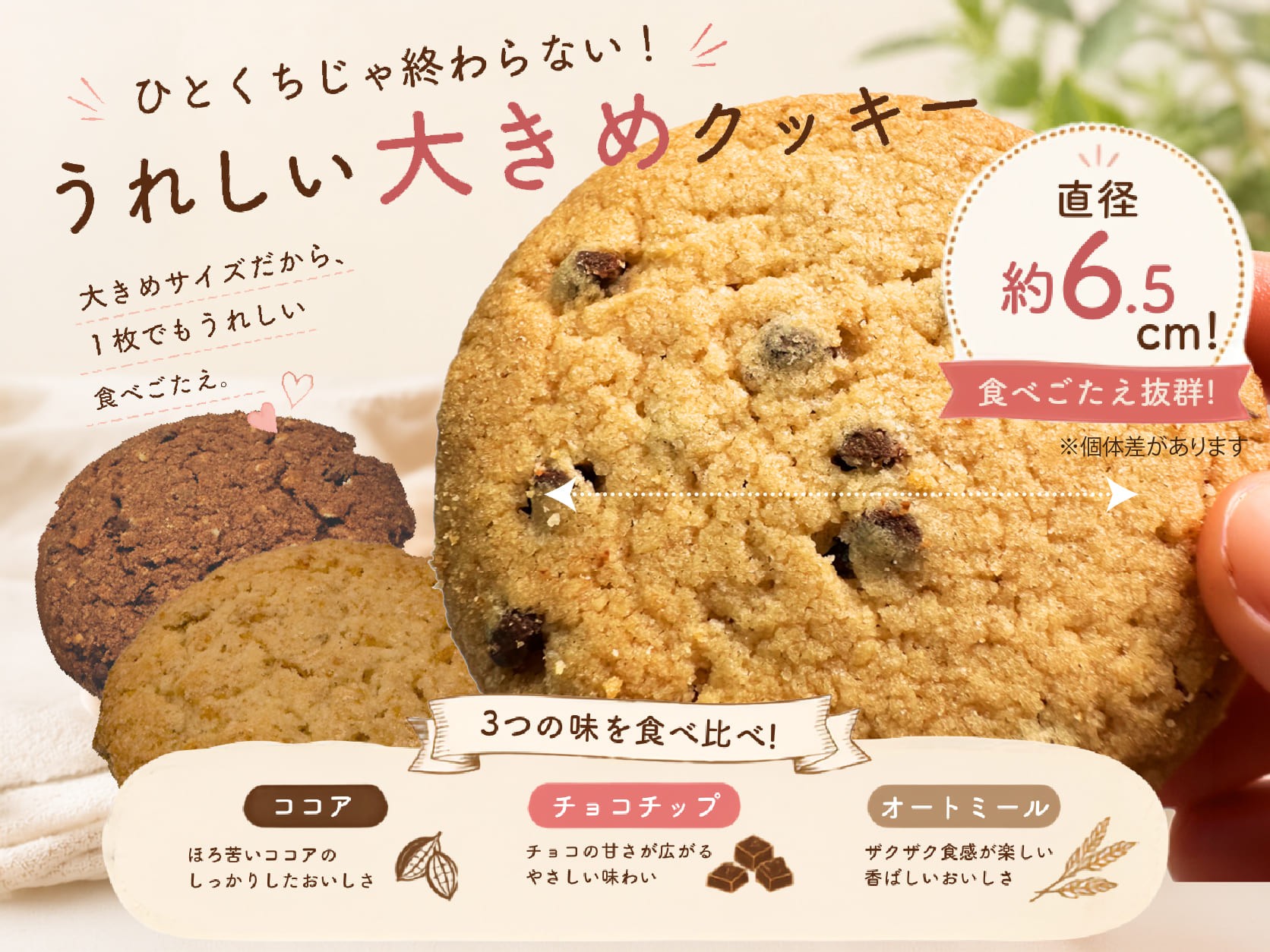 
                  (10189)クッキー詰め合わせ 3種 30枚（5枚入×6袋）｜オートミール・ココア・チョコチップ 食べ比べ お菓子 焼き菓子
                