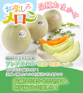 【令和8年産先行予約】 お楽しみメロン 3玉セット 2Lサイズ 山形県庄内産 アンデスメロン・鶴姫メロン・鶴姫レッドメロン の中から3玉お届け 食べ比べ　JA鶴岡 K-836　| メロン めろん フル