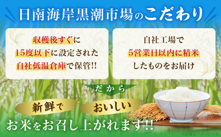 令和7年産 新米 コシヒカリ 計800g お米 ご飯 ライス 国産 数量限定 人気 食品 精米 白米 こしひかり 有洗米 おにぎり お弁当 炊き込みご飯 雑炊 ギフト プレゼント 贈り物 お取り寄せ 