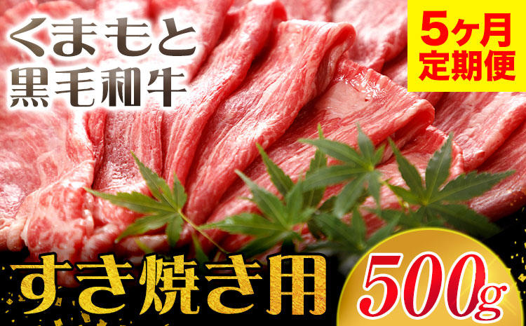 
                  【5ヶ月定期便】牛肉 くまもと黒毛和牛 すき焼き用 500g 長洲町L（桜屋）《お申込み月の翌月から出荷開始》 定期 計5回お届け 熊本県 長洲町 送料無料 黒毛和牛 牛肉 肉 すき焼き
                