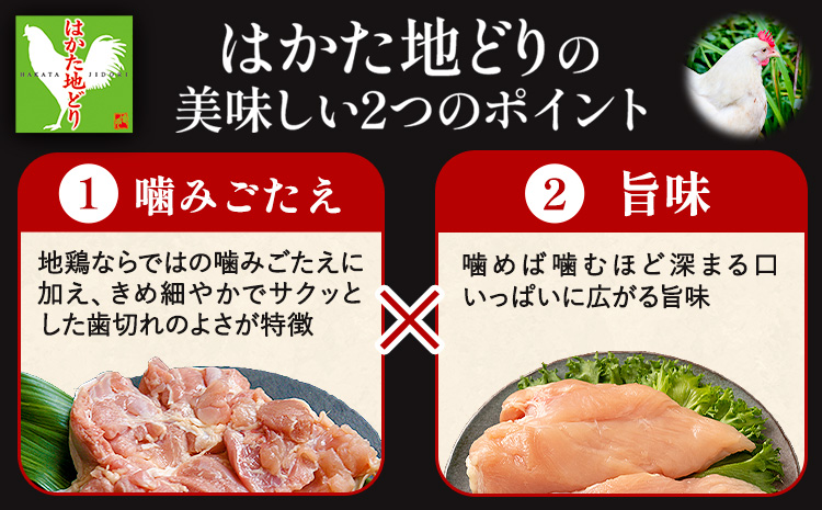 はかた 地どり 炭火焼 セット 500g 株式会社MEAT PLUS《30日以内に出荷予定(土日祝除く)》福岡県 鞍手郡 小竹町 地鶏 はかた地どり 焼き鳥 おかず 惣菜 鶏 鶏肉---sc_fmph