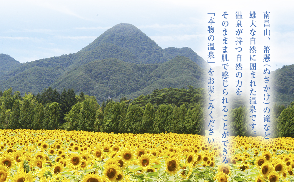 矢巾温泉『南昌の湯』入浴回数券(10回分)×3冊セット