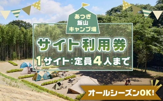 No.1072 【オールシーズンOK！】あつぎ飯山キャンプ場サイト利用券 ／ 体験 キャンプ アウトドア アクティビティ 観光 宿泊 旅行 チケット 宿泊券 旅行券 川遊び 星空 自然 神奈川県
