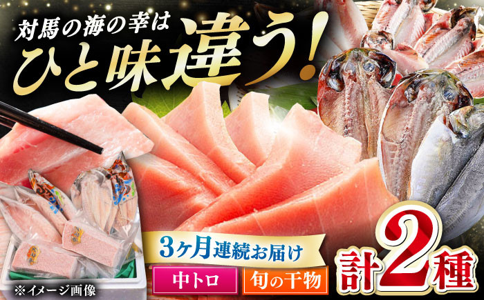 
            【全3回定期便】対馬産 本マグロ 中トロ 300g & 旬の干物 2種 《対馬市》 【対海】 [WAH009] マグロ まぐろ 鮪 本鮪 本マグロ 養殖 トロ 中トロ 中とろ 刺身 干物 旬 魚 地魚 アジ カマス 冷凍 海鮮 柵 お祝い 贈答 定期便 毎月届く
          