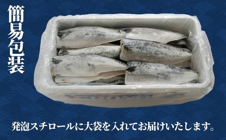 【 スピード配送 】 適塩さば 10枚 さば