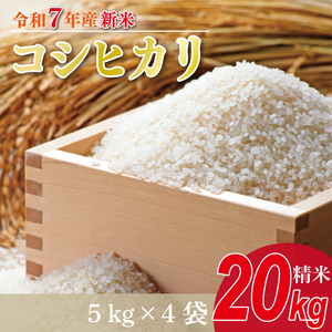 【2025年9月中旬より順次発送】★新米★R7年産 コシヒカリ 20kg(5kg×4袋)｜米 お米 白米 精米 新米 R7年産 令和7年産 こしひかり コシヒカリ 茨城県 茨城県産 行方市(HA-15)