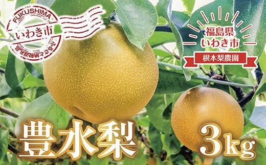 【先行予約】梨（豊水）3kg 福島県 いわき市産