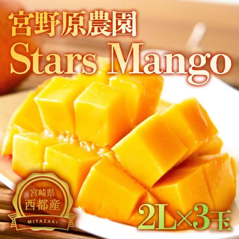 【先行予約】糖度13度以上　宮野原農園 スターズマンゴー2L×3個完熟マンゴー 生産者直送＜67-3a＞2026年発送