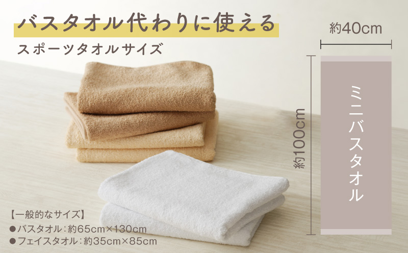 【スピード発送】ホテルスタイル ミニバスタオル ６枚 ライトグレー ブルー ホワイト 40×100cm 【泉州タオル 国産 吸水 普段使い シンプル 日用品 大阪 泉佐野 大阪府 泉佐野市】