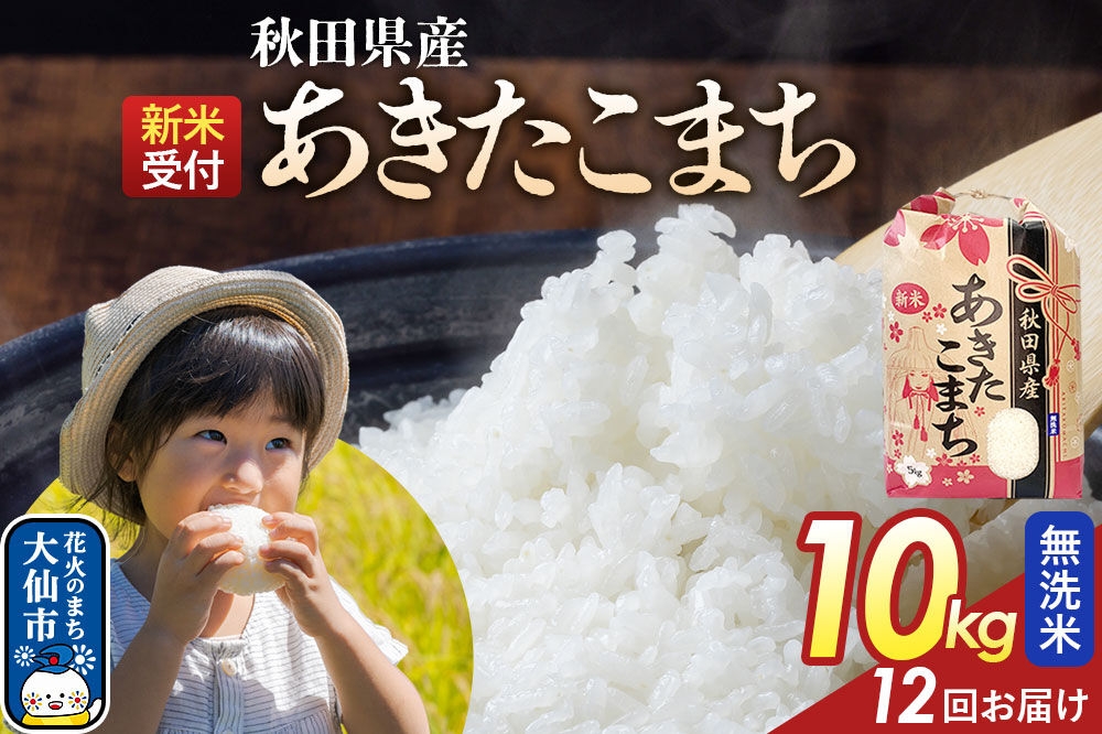 
                  《令和8年産新米予約》 《定期便12ヶ月》【無洗米】あきたこまち 10kg（5kg×2） 秋田県産  こまちライン 秋田県 大仙市産 [秋田 お米 米どころ あきたこまち こまちライン]
                