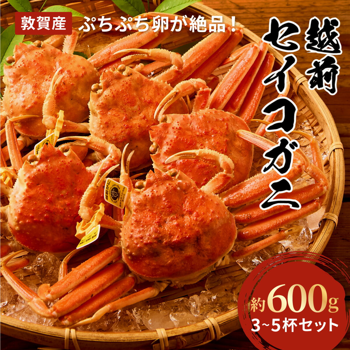 【ふるさと納税】【期間限定】茹でたて 越前 セイコガニ 3〜5杯 セット（質量600g前後）＜先行予約 / 11月6日の解禁日以降順次出荷＞【冷蔵】【敦賀 相木魚問屋 越前ガニ 越前蟹 セイコ蟹 せいこかに カニみそ 蟹味噌 内子 外子 蟹 かに ボイル蟹 お取り寄せ NEW 新規】