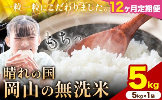 【12ヶ月定期便】晴れの国岡山の無洗米 5kg 岡山県産 無洗米 無洗 米 矢掛町《申し込み翌月から発送》米 コメ 定期便