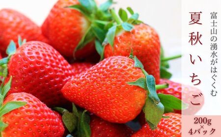 【2026年先行予約】山梨の夏秋いちご　ご家庭用 200ｇ× 4パック