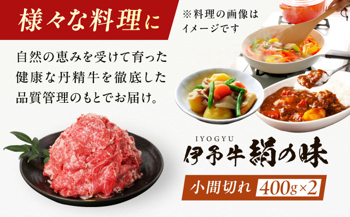 伊予牛「絹の味」黒毛和牛 小間切れ 800g（400g×2）／ 肉 お肉 にく 食品 愛媛県産 人気 おすすめ ギフト 四国 内子町 【全国農業協同組合連合会愛媛県本部】 [BKBB002]