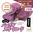 【ふるさと納税】【先行予約】【数量限定】パープルスイートロード　生芋（12.5kg）| 芋 さつまいも サツマイモ スイートポテト　※2024年12月上旬～2025年4月下旬頃に順次発送予定