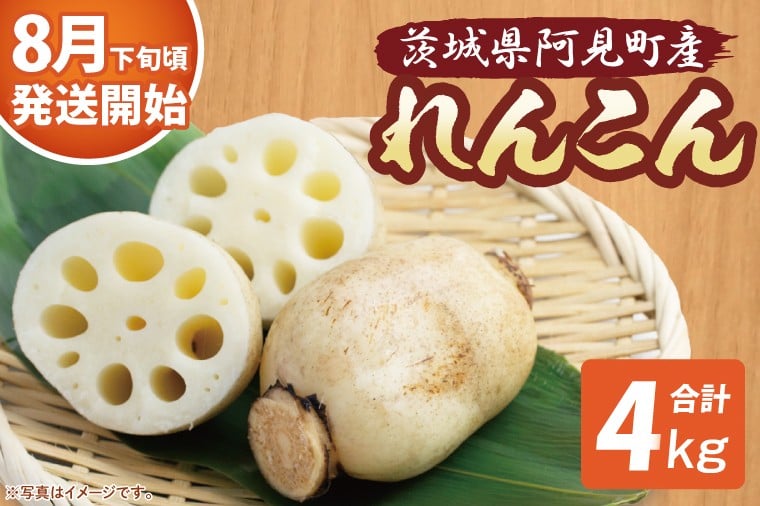 
            【先行予約】【8月下旬より発送】れんこん4kg【絶品 蓮根 レンコン 高級感 茨城県産 茨城県 阿見町】(89-02)
          