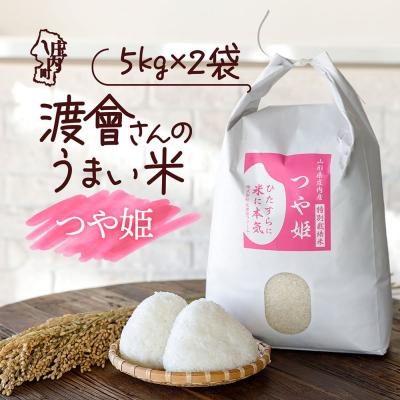 ふるさと納税 庄内町 渡會さんのうまい米!つや姫 10kg 令和7年産 2025年産 ブランド米