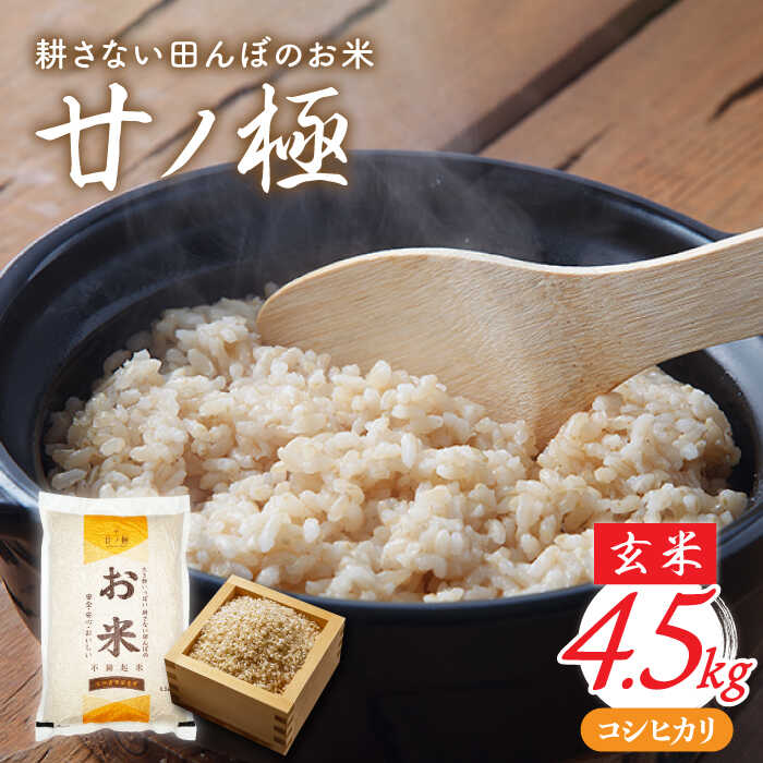 【ふるさと納税】 先行予約 ＼安心・安全・おいしい／【令和8年産】玄米「廿ノ極」（4.5kg） コシヒカリ 米 お米 多治見市/廿原ええのお [TCI001]