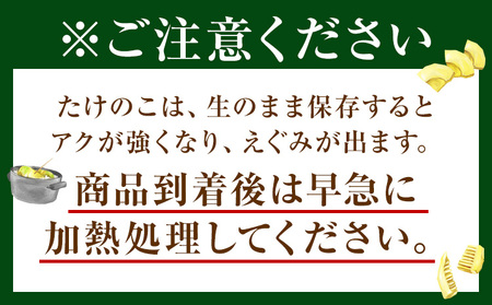 たけのこ 4kg 約4~10本 弐番屋《2027年3月下旬-4月下旬頃出荷》鹿児島県 さつま町 筍 タケノコ