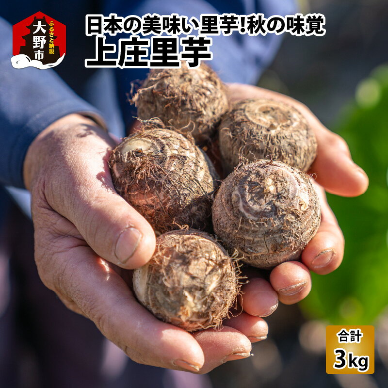 【ふるさと納税】【先行予約】日本の美味い里芋！秋の味覚 上庄里芋 3kg【11月より順次発送】 [A-001005]【野菜・里芋・上庄里芋・3kg】