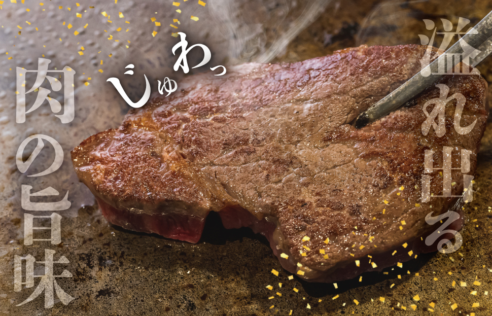 S10　松阪牛ヒレ焼肉用500g