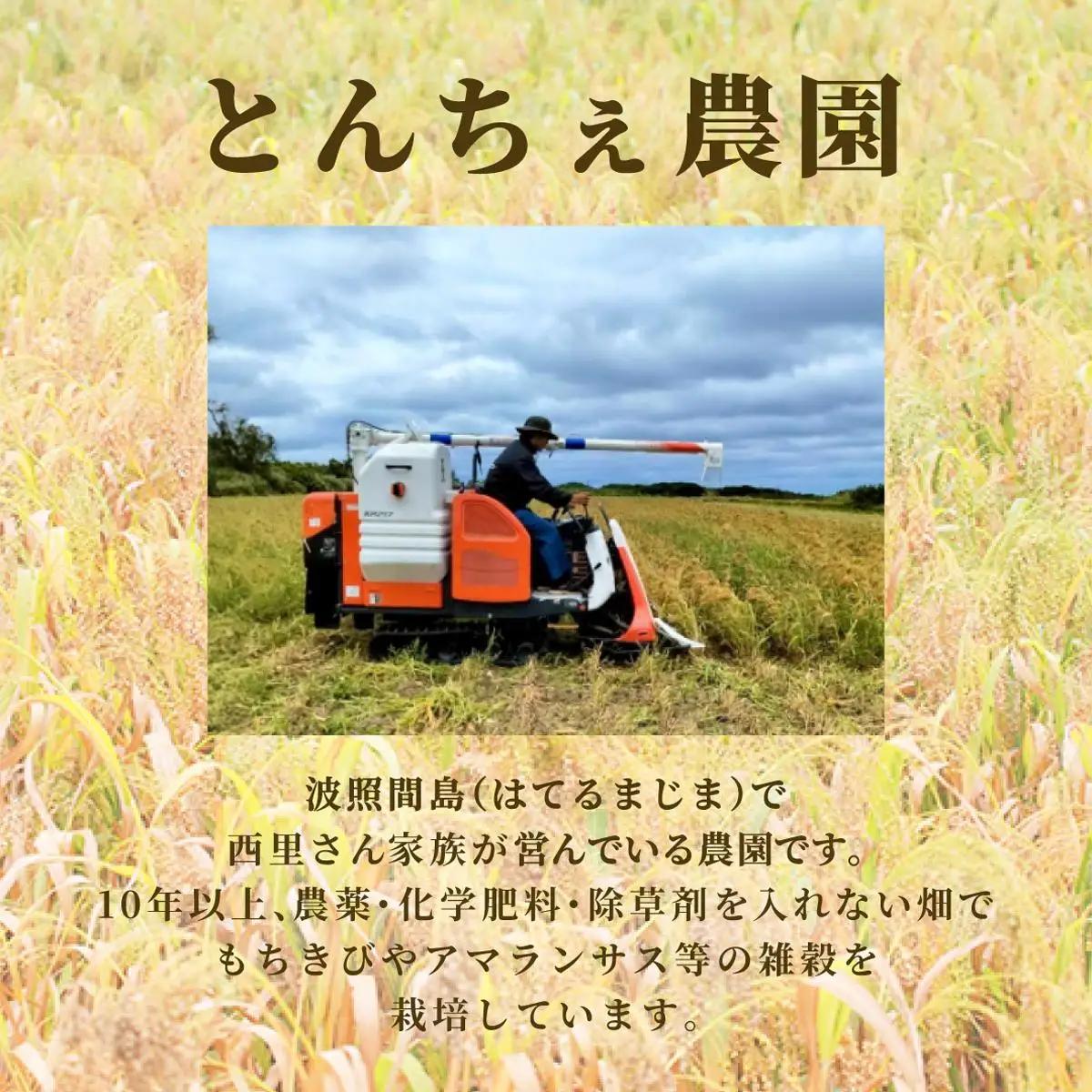 もちきび 400g×2袋　