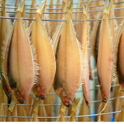 ふるさと納税 京丹後市 笹かれい一夜干し(ササカレイ、ヤナギムシカレイ)大サイズ 5尾セット |  | 03