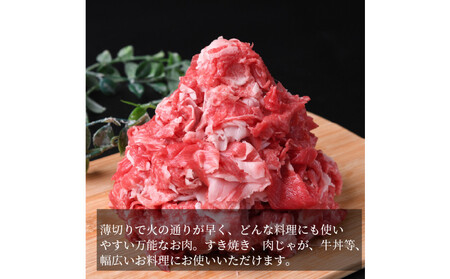 近江牛切り落とし500ｇ×2箱