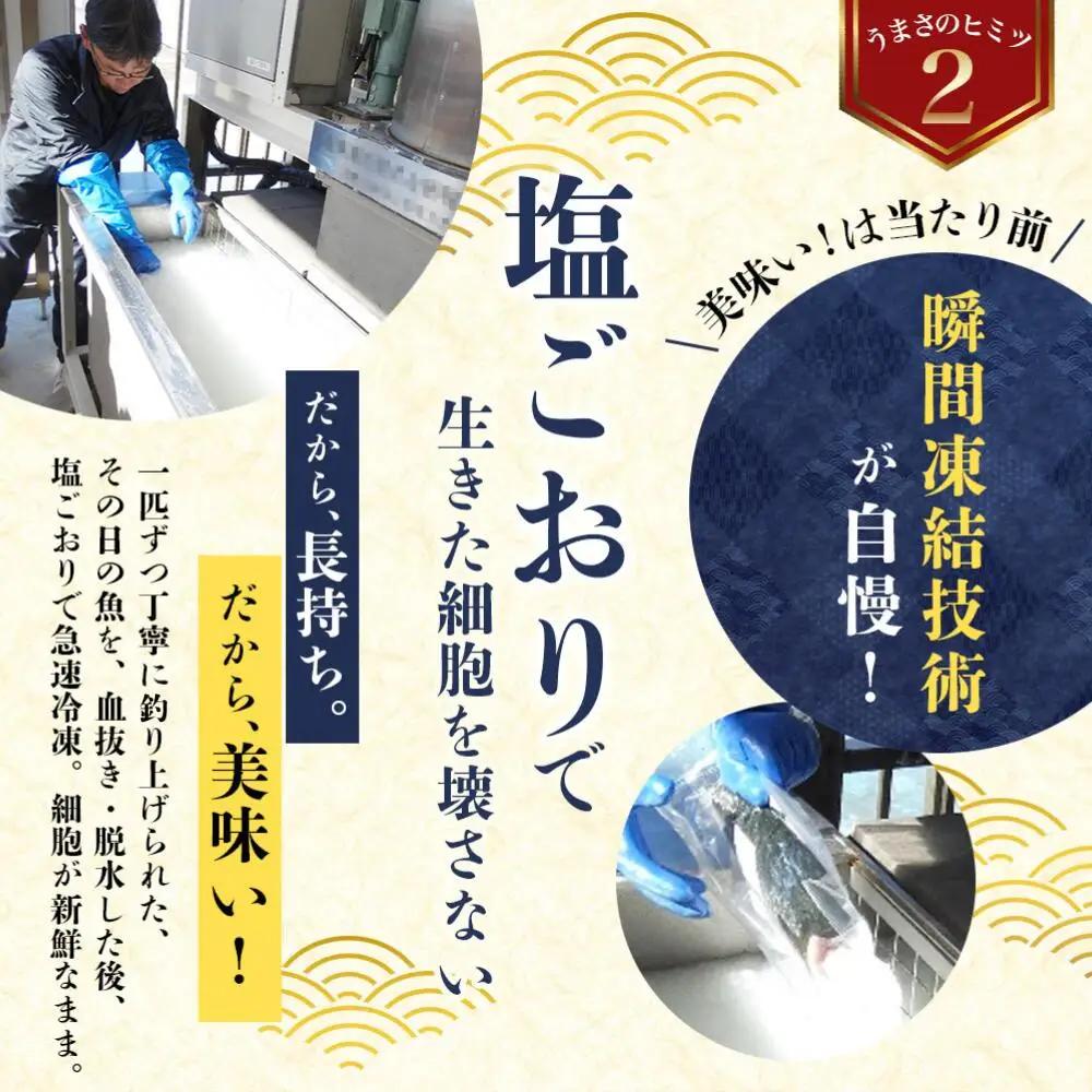 【かつおのたたき】 すさみケンケン鰹 約1kg【10月以降順次発送】 かつお【scp012】